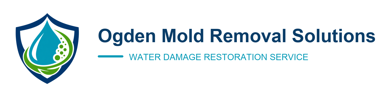 Ogden Mold Removal Solutions — Water Damage Restoration Service in Ogden, UT